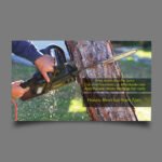 Lawn-Care -15